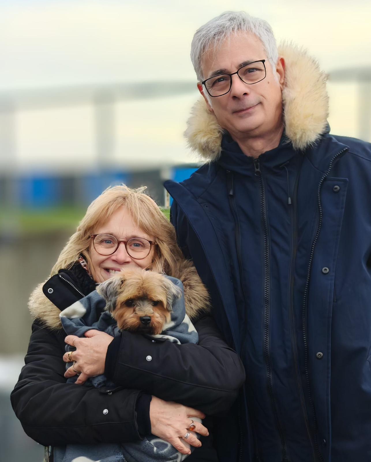 Chiens à adopter